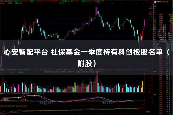 心安智配平台 社保基金一季度持有科创板股名单（附股）