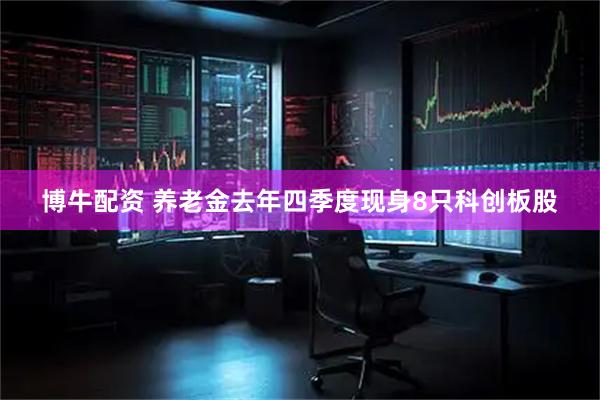 博牛配资 养老金去年四季度现身8只科创板股