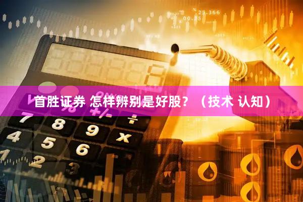 首胜证券 怎样辨别是好股？（技术 认知）