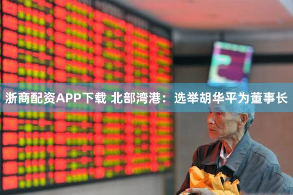 浙商配资APP下载 北部湾港：选举胡华平为董事长