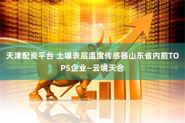 天津配资平台 土壤表层温度传感器山东省内前TOP5企业—云境天合